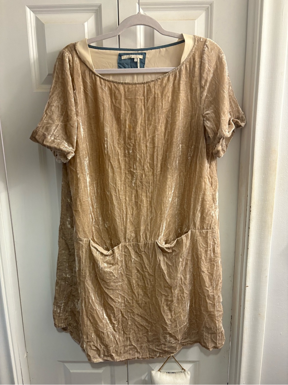 Anthropologie Beige Crushed Velvet Short Sleeve Tunic